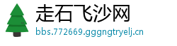 走石飞沙网
